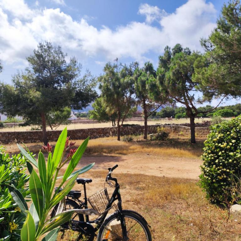 Casa Relax Acqua Marina - Appartamento con Vista Giardino - 12