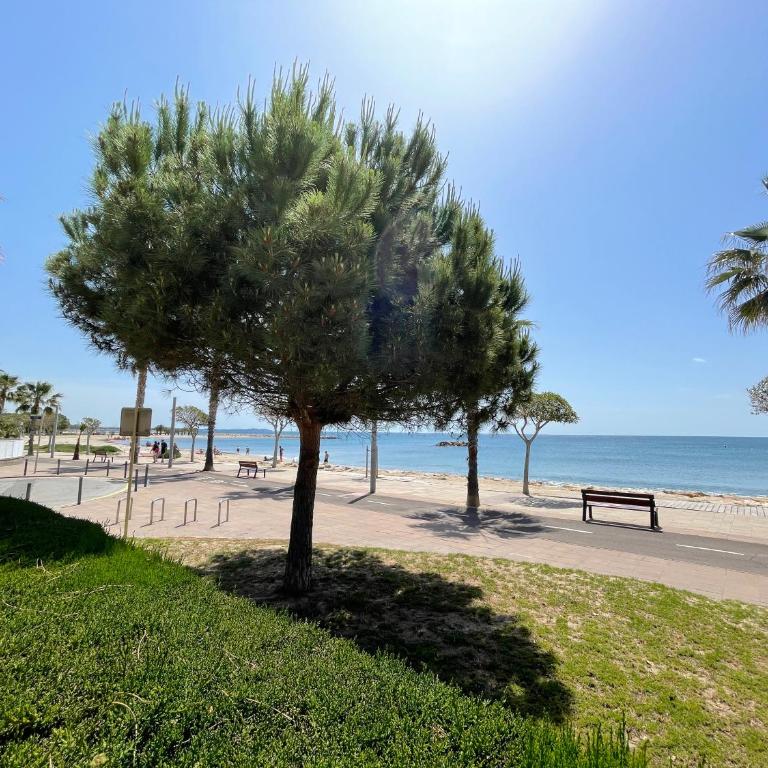 Myhost la Dorada frente al mar - Apartamento de 2 dormitorios - 31