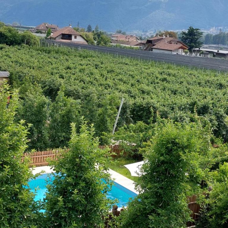 Mittelbergerhof Ferienwohnungen - Appartamento con Vista Montagna - 8