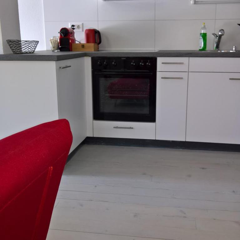 Swiss Borzoi House - Apartment mit Terrasse - 39