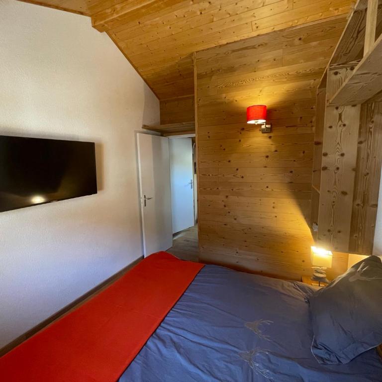 Chalet de l’Alpette - Chalet - 30