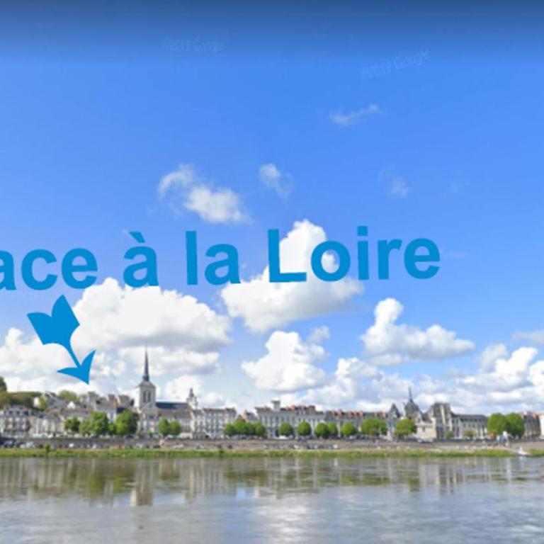 T2 vue sur Loire local vélo - Appartement 1 Chambre - 10