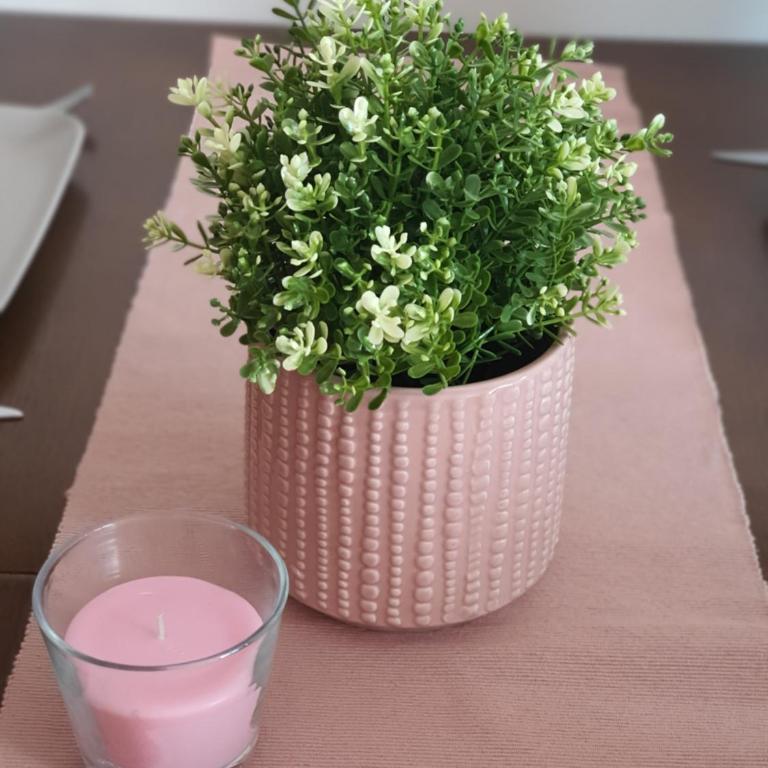 Le Soleil Apartman Vrnjačka Banja - Apartman sa 1 Spavaćom Sobom - 9