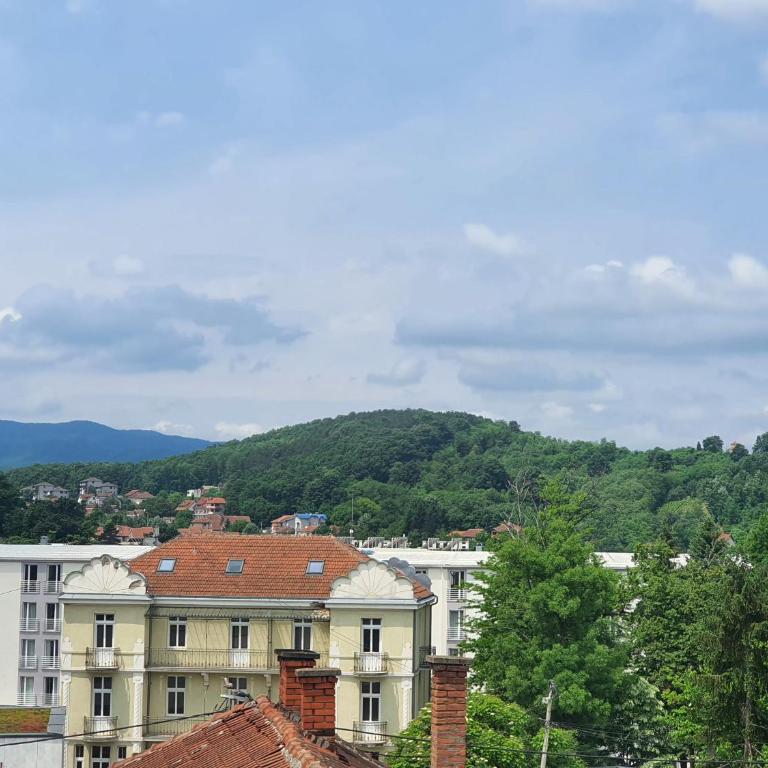 Le Soleil Apartman Vrnjačka Banja - Apartman sa 1 Spavaćom Sobom - 23