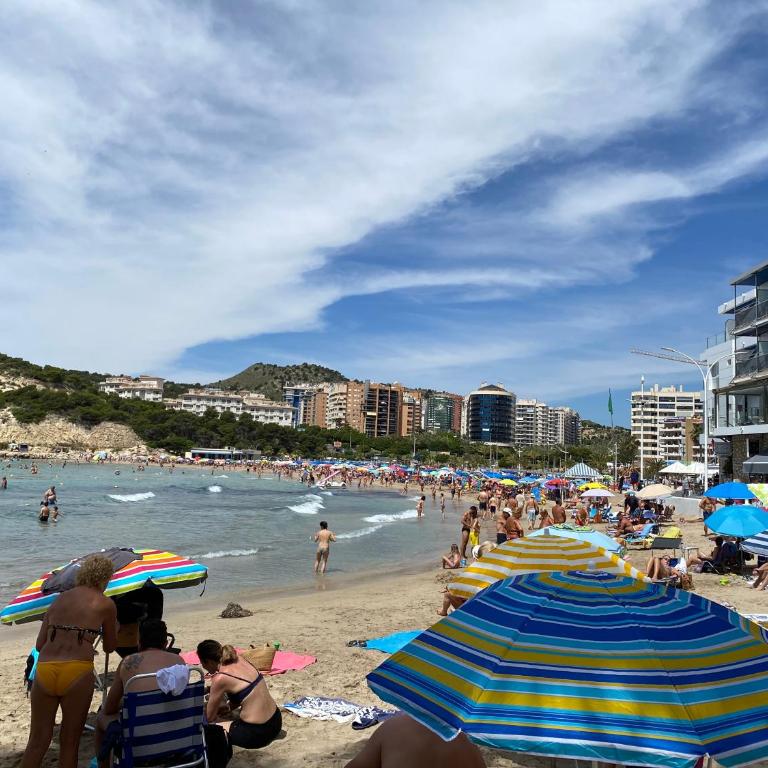 Estudio Calafin 56 - Estudio Superior - 5
