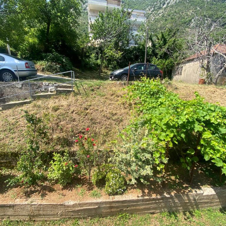 Apartments Djuricic - Apartment with Sea View - 17