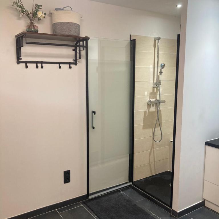 Superbe F2 refait a neuf à deux pas des plages de sable - Appartement 1 Chambre - 6