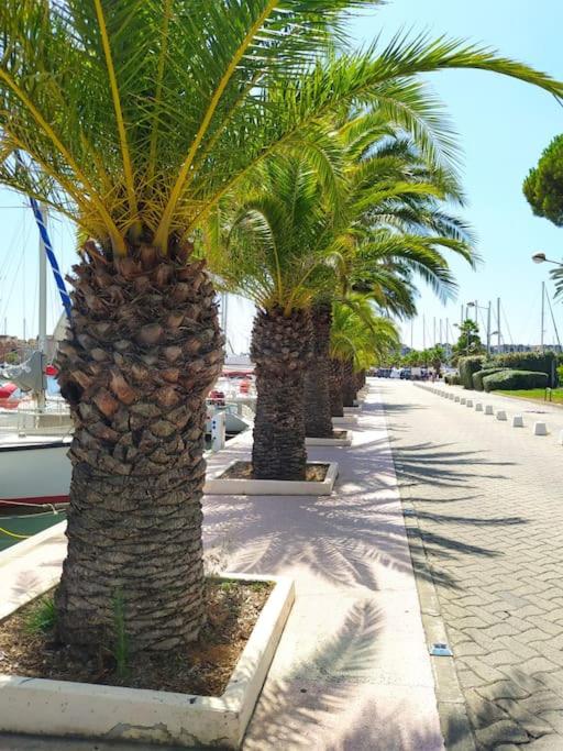 Joli appartement avec grande et belle terrasse, au pied de la plage du Grazel! - Appartement 1 Chambre - 12