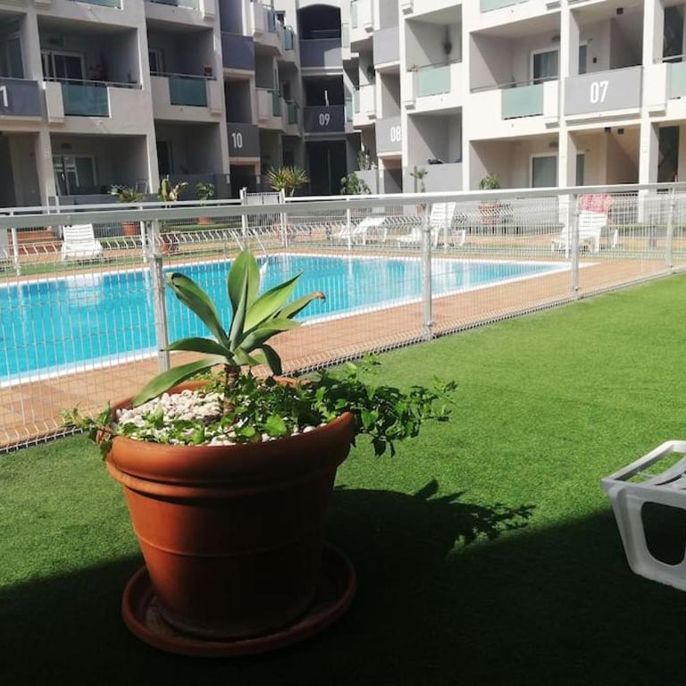 Blue Ocean Corralejo: Sunny terrace, pool, wifi - One-Bedroom Apartment - 18