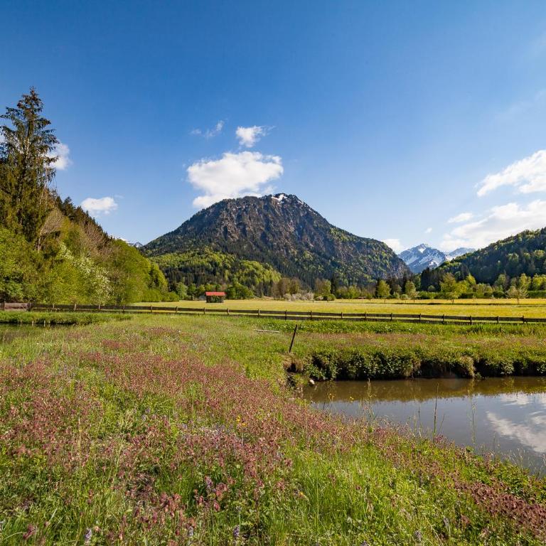 Haus am Teich - Fewo Relax mit Bergbahn Unlimited - Apartment mit 1 Schlafzimmer - 12