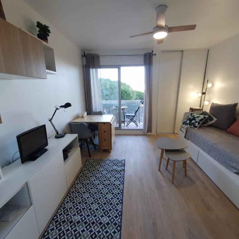 Charmant studio refait à neuf CARNON port 34 - One-Bedroom Apartment - 3