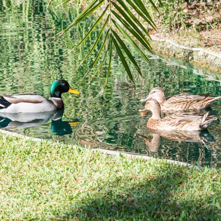 PLAYAS DEL DUQUE, PUERTO BANUS, GOLF .PLAYA Y COMPRAS - Apartamento de 2 dormitorios - 24