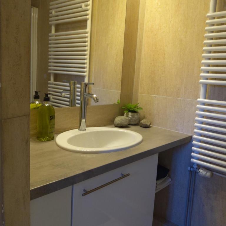 Appart Cosy, Confortable et Climatisé à Amélie les Bains - Appartement 1 Chambre - 9