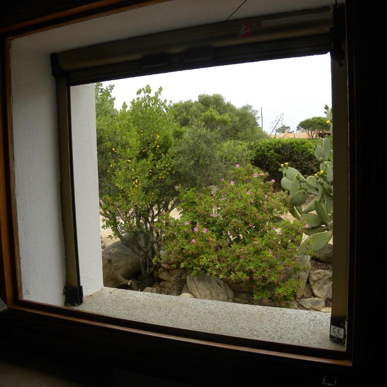 Villa Carlotta la Maddalena - Villa con Vista Mare - 14