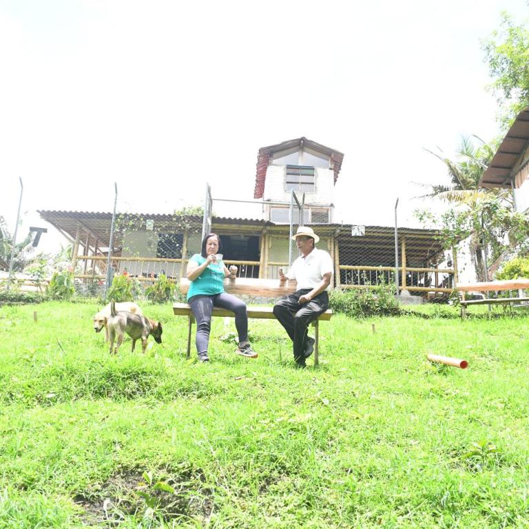 La Cigarra Casa de Huéspedes - Four-Bedroom House - 12