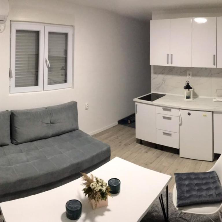 Apartman Milica - Apartman sa 1 Spavaćom Sobom - 9