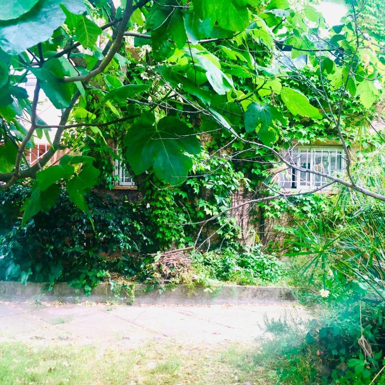 Maison avec jardin pour 4 personnes à argeles sur mer - Maison 3 Chambres - 2