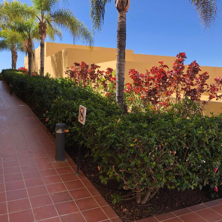 Apartamento con impresionantes vistas y piscina - Apartamento con terraza - 67