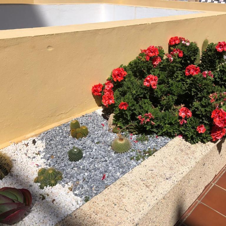 Apartamento con impresionantes vistas y piscina - Apartamento con terraza - 60