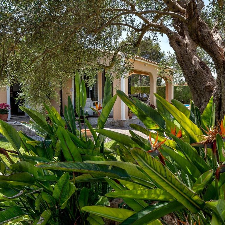 Villa Iris - Alcúdia - Villa mit 3 Schlafzimmern - 40