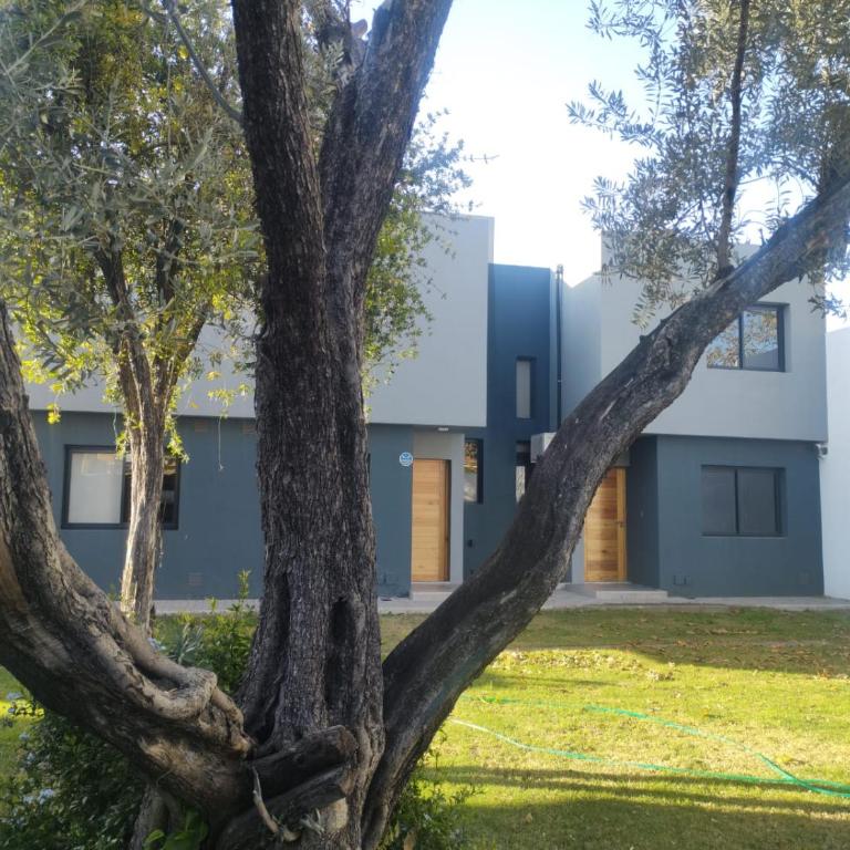 Complejo Claret, Departamentos a metros de Sanatorio Allende y Hospital Privado Cerro - Apartamento Dúplex - 1
