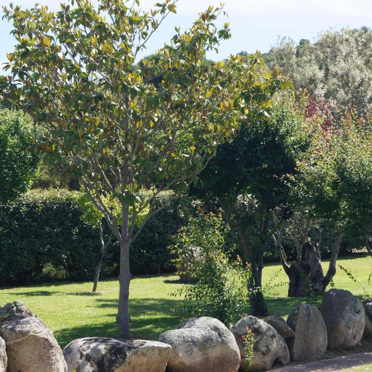 Les Jardins De Santa Giulia - Charmante chambre dhte 2 - Chambre Double ou Lits Jumeaux - 5