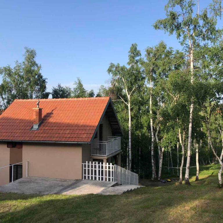 Divčibarka - Kuća sa 2 Spavaće Sobe - 42