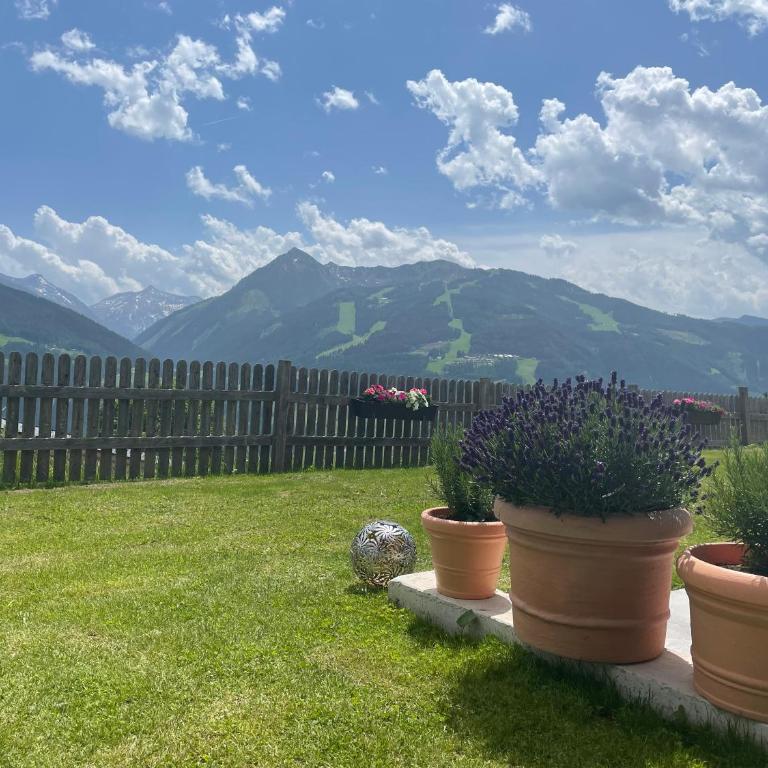 BergLeben - Apartment - 35