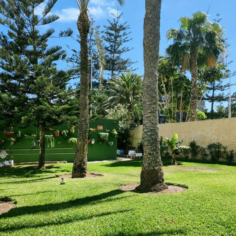 PLAYA DEL INGLES -2 balcons- AGAETE PARQUE - Two-Bedroom Apartment - 43
