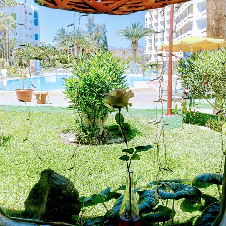 PLAYA DEL INGLES -2 balcons- AGAETE PARQUE - Two-Bedroom Apartment - 31