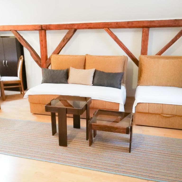 Vila Nikola - Standardni Apartman - 7