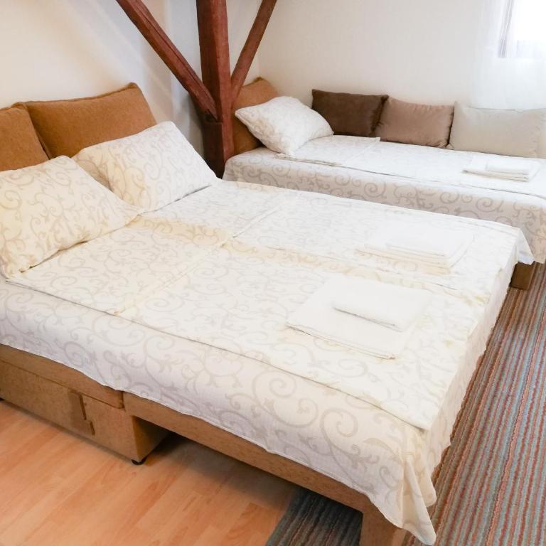 Vila Nikola - Standardni Apartman - 9