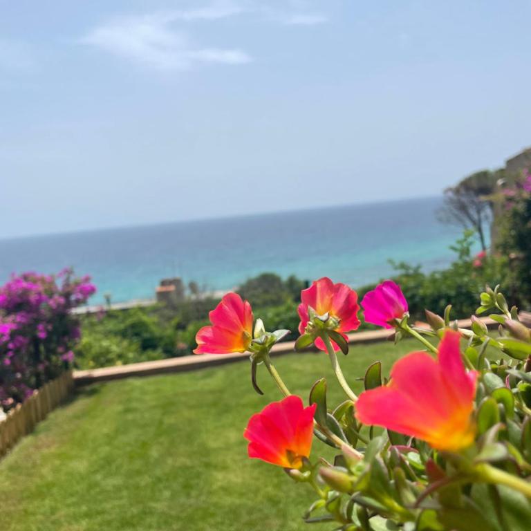 Casa Pinus - Two-Bedroom Apartment with Terrace and Sea View - 2