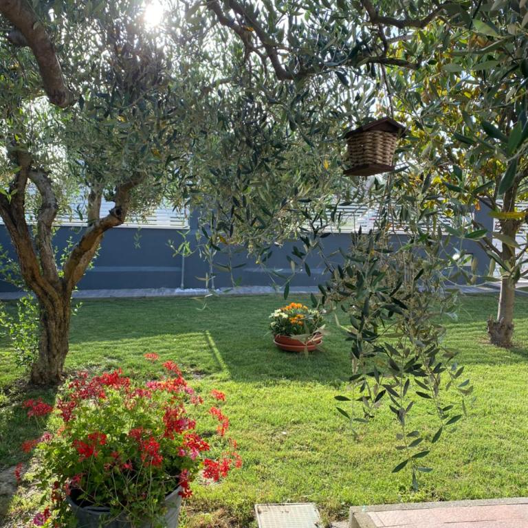 Il Trammino - Appartamento con 3 Camere da Letto - 9