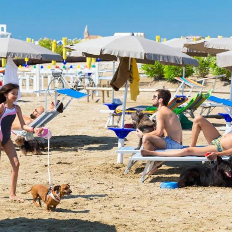 AMPIO BILOCALE Caorle LUNGOMARE LEVANTE - Appartamento con 1 Camera da Letto - 15