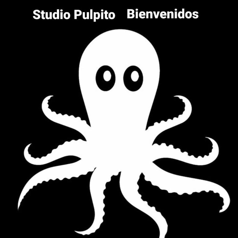 Studio Pulpito in the charming heart of downtown PV - Apartamento de 1 dormitorio - 12
