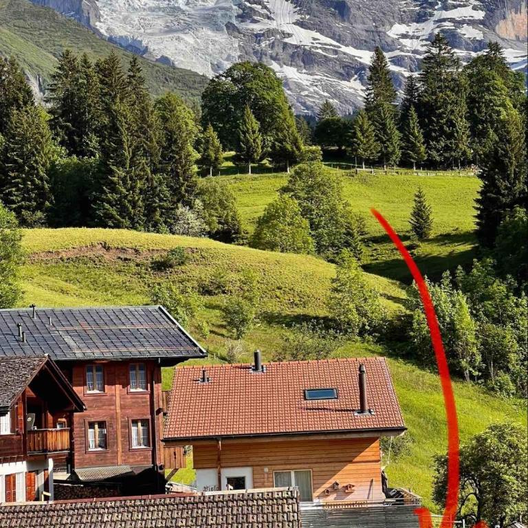 Chalet Viola - Apartment mit 1 Schlafzimmer - 27