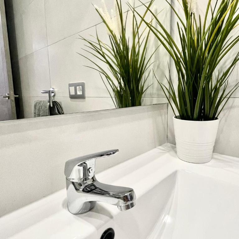 ISLAND SUITES - Apartamento de 2 dormitorios - 15