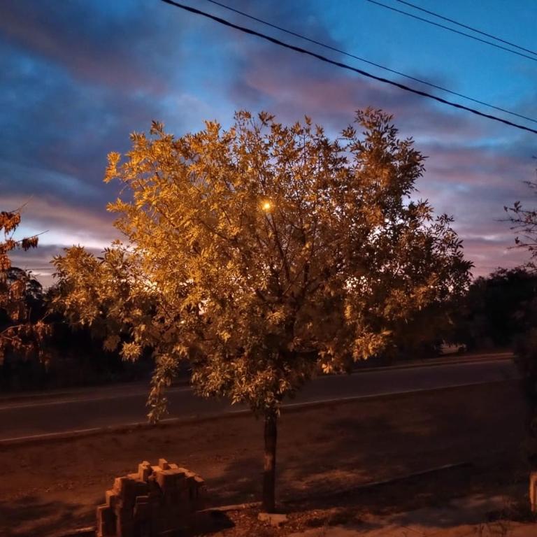 El Atardecer - Apartamento de 1 dormitorio - 2