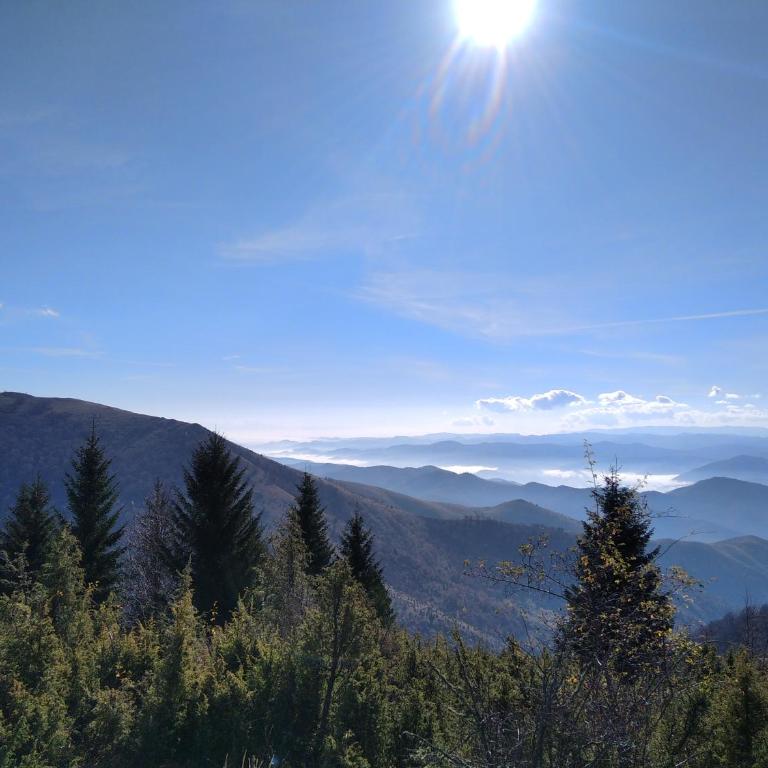 Lux apartmani Dunja Kopaonik Čardaci - WHITE - Apartman sa Pogledom na Planinu - 53