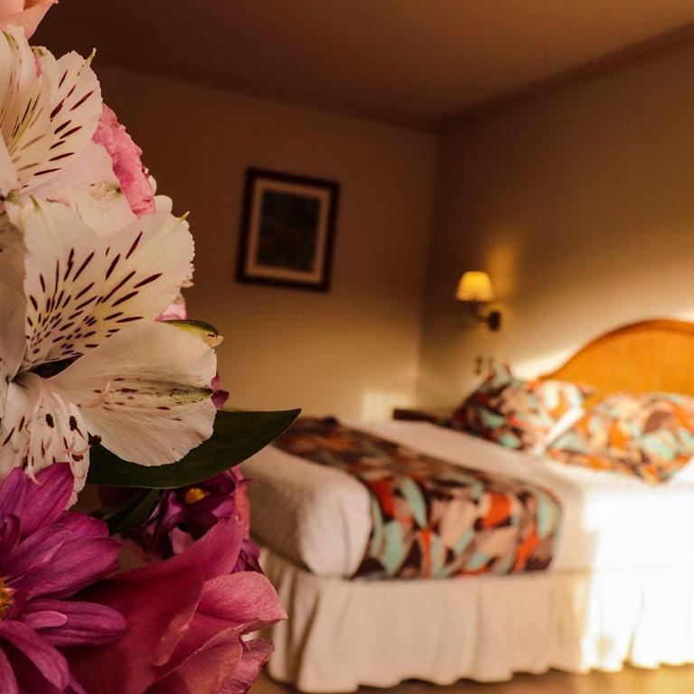 Hotel Los Parrales - Habitación Doble Estándar - 4