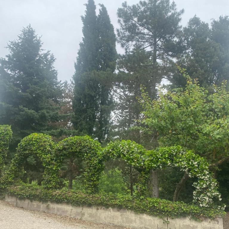 Villa Zara - Twin Room with Shared Toilet - 11