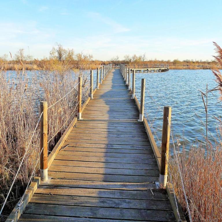 Lovely Home In Aigues-Mortes With House Sea View - Ferienhaus mit 2 Schlafzimmern - 20