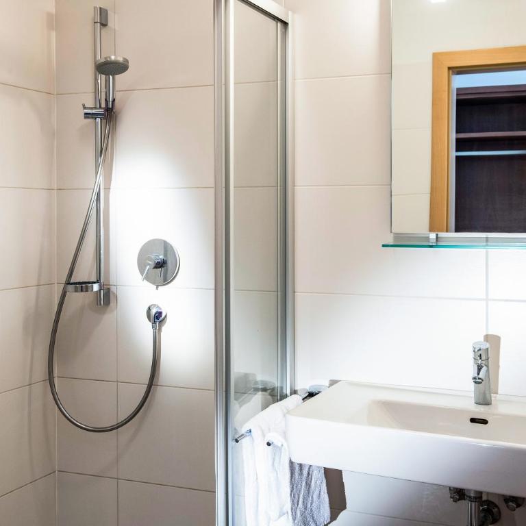 Residence Saalbach - Apartamento Superior de 1 dormitorio - 1