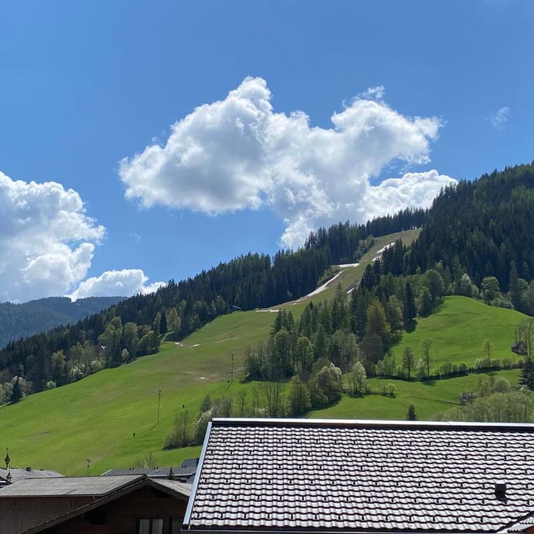 Chalet Reiteralm- with Schladming-Dachstein Summer Card - Haus mit 3 Schlafzimmern - 13