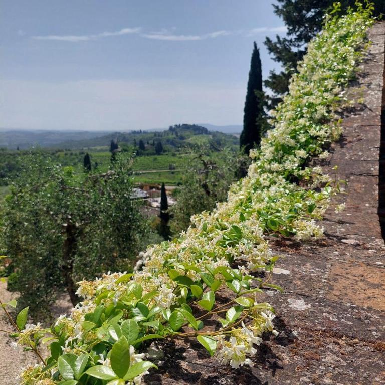 Montagnana Country House - relax and stunning view - Two-Bedroom Apartment - 42