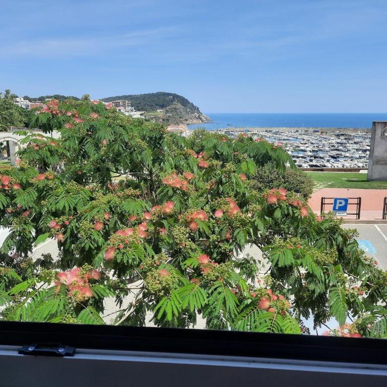 Un sueño en Palamos - Apartamento de 2 dormitorios - 7