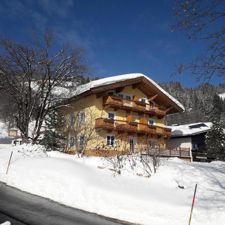 Appartements - Haus Sieberer - Apartment mit 1 Schlafzimmer und Dusche - 37
