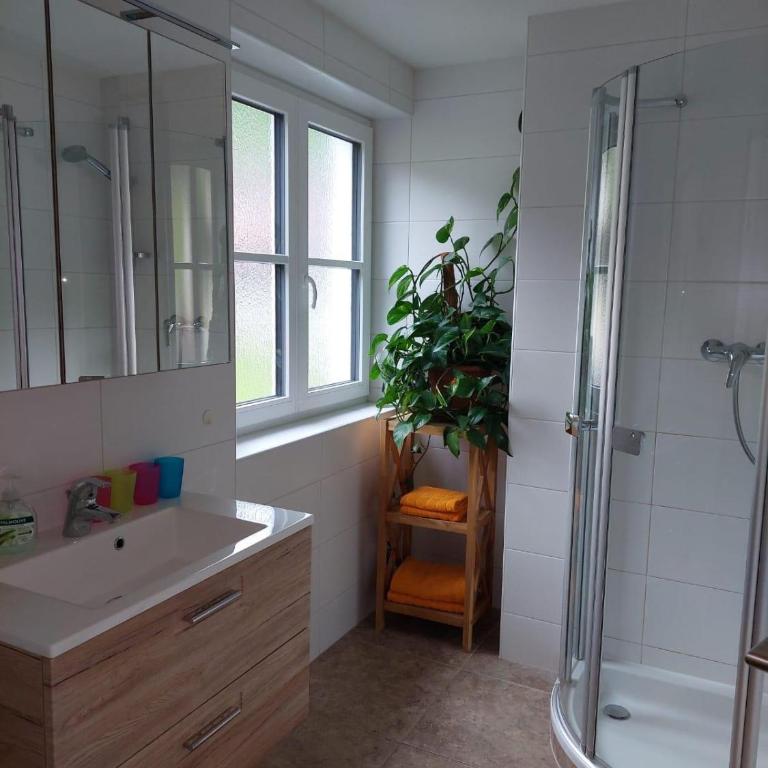 Appartements - Haus Sieberer - Apartment mit 1 Schlafzimmer und Dusche - 42
