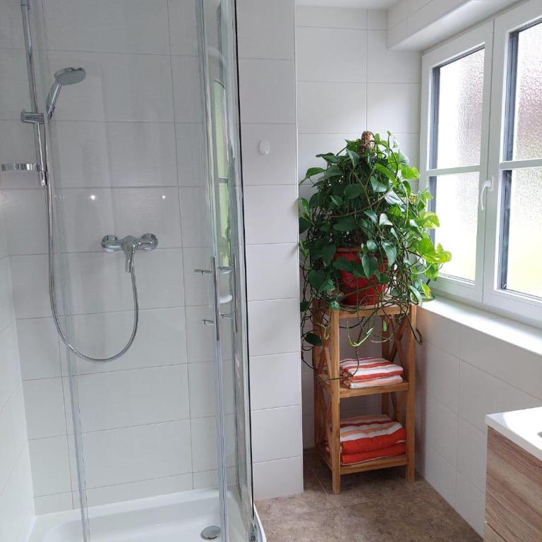 Appartements - Haus Sieberer - Apartment mit 1 Schlafzimmer und Dusche - 43